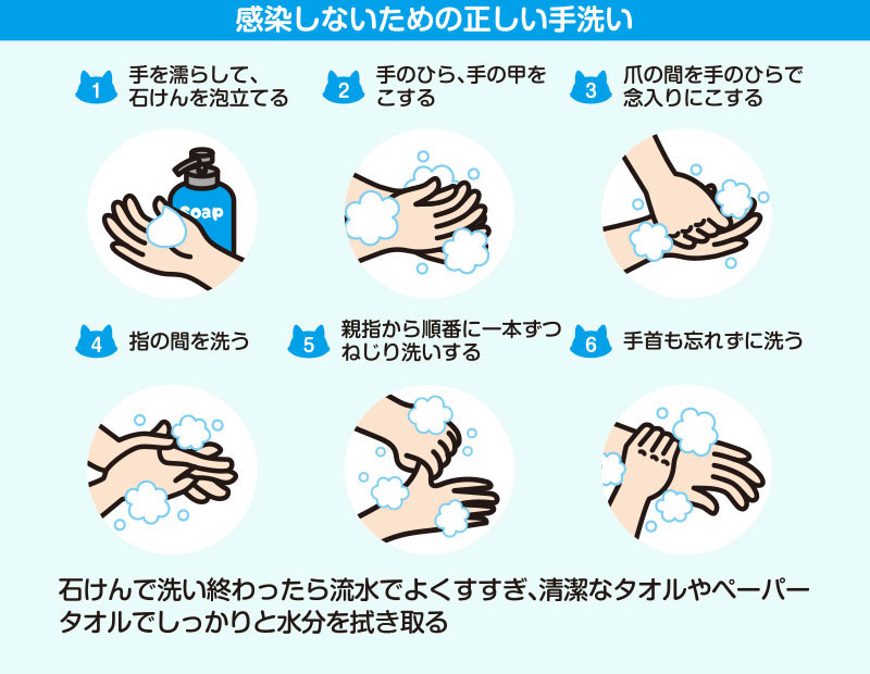 正しい手洗い