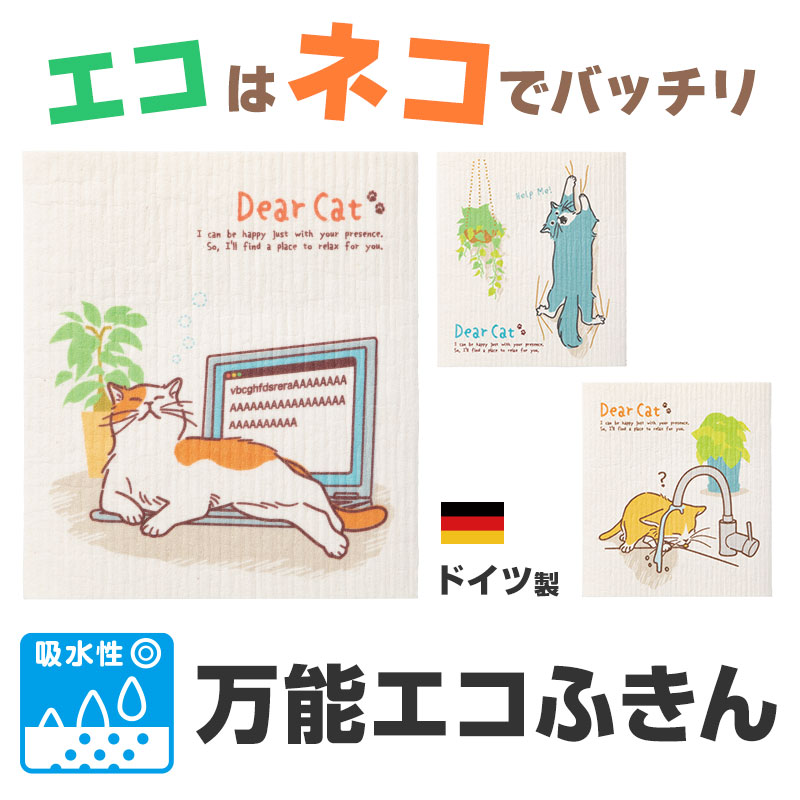 ネコとエコを考える！おススメSDGsアイテム