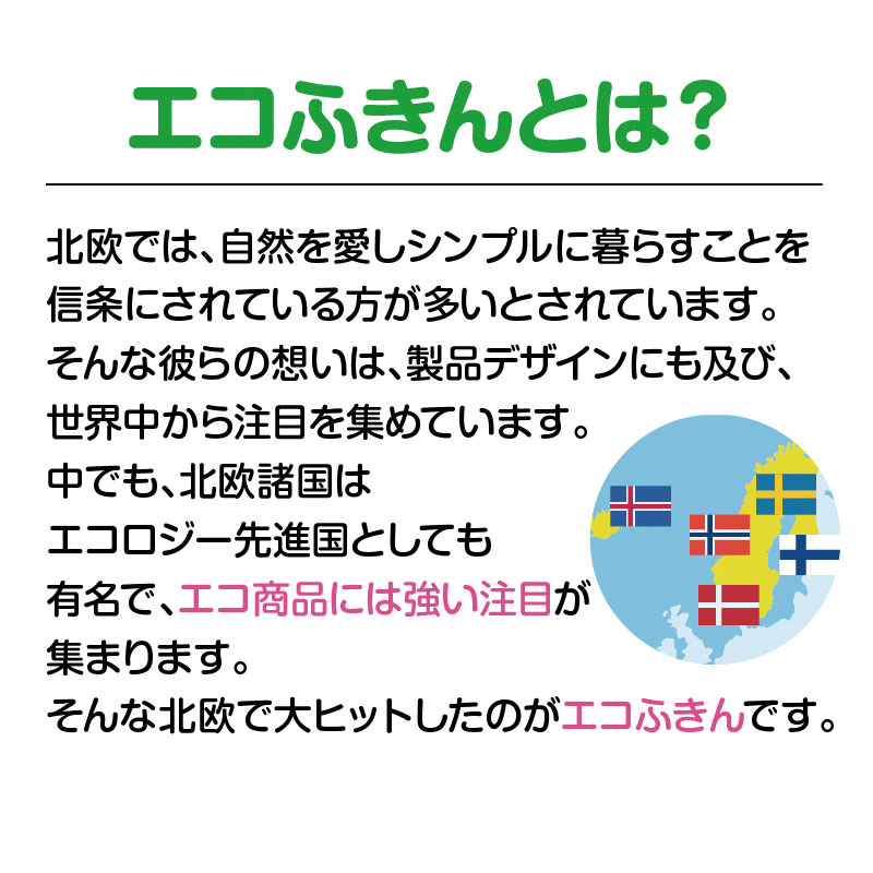 エコふきんとは？