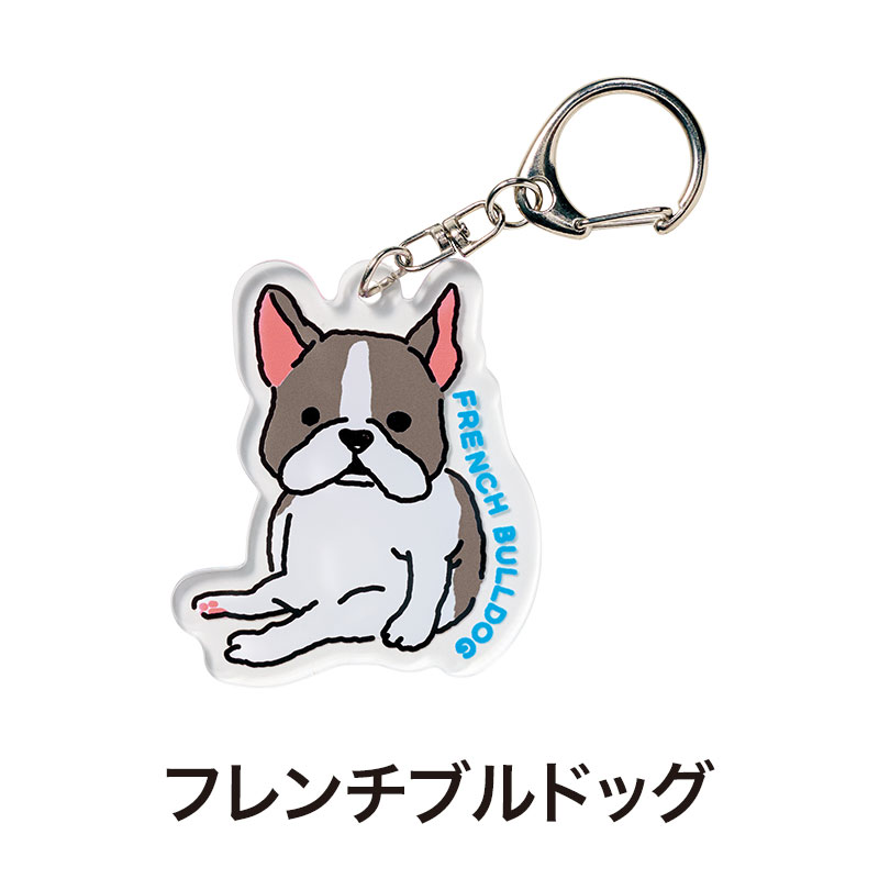 フレンチブルドッグ