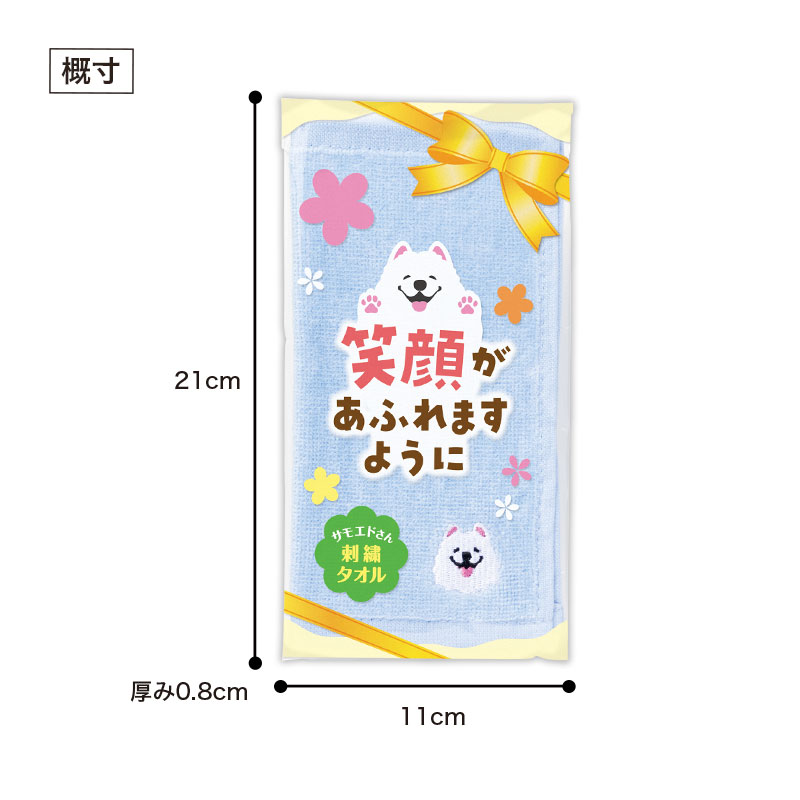 パッケージサイズ