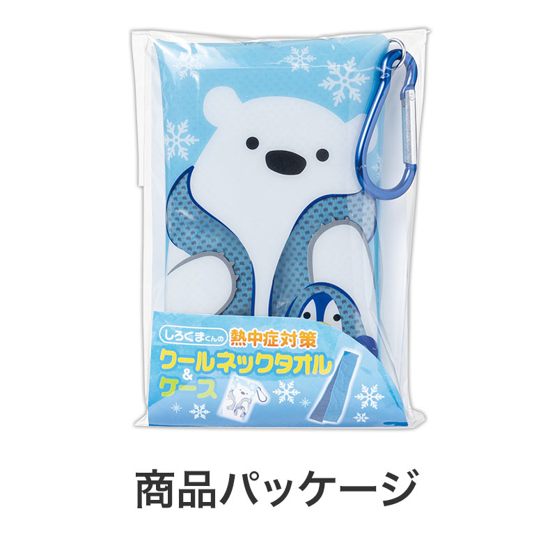 商品パッケージ