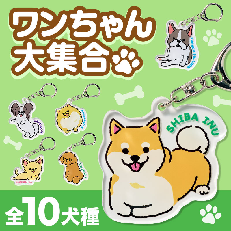 かわいい犬たちがいっぱい！