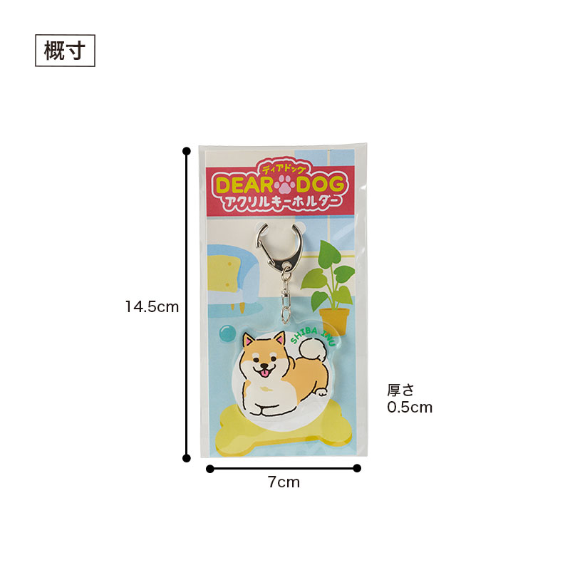 パッケージサイズ