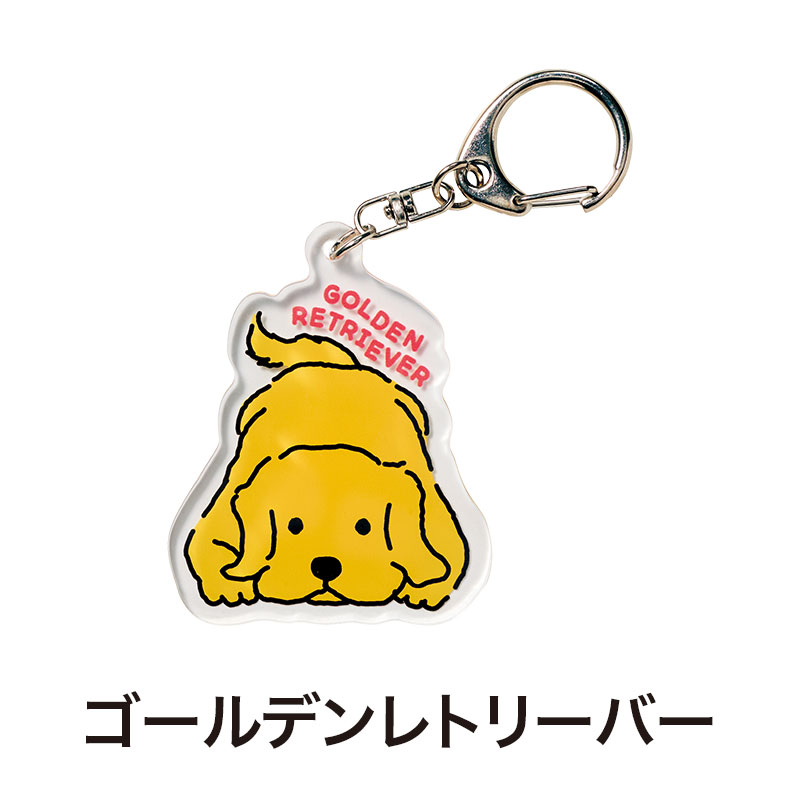 ゴールデンレトリーバー