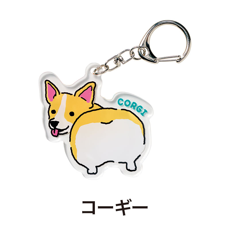 コーギー