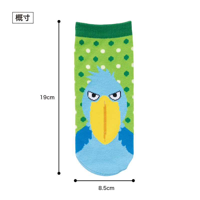 パッケージサイズ