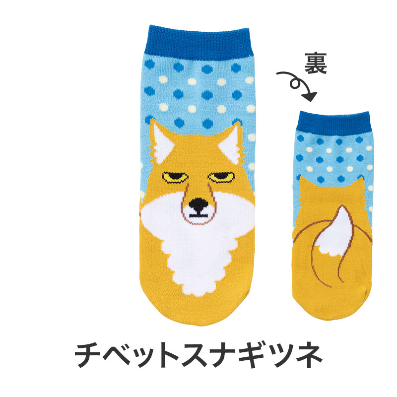 チベットスナギツネ