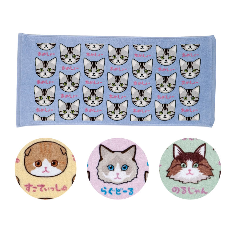 人気の４猫種アソート