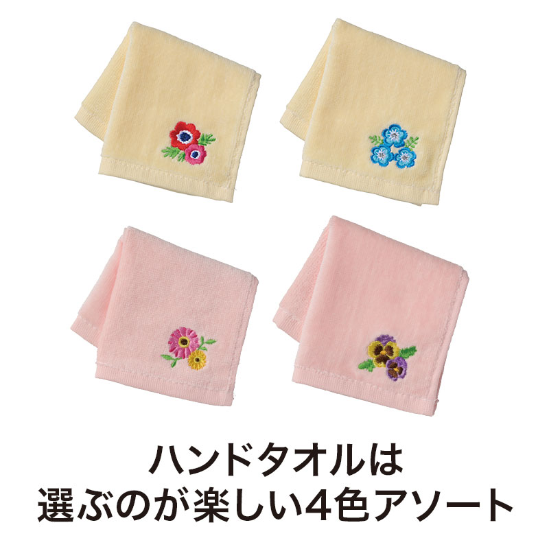 アネモネ・ネモフィラ・ガーベラ・パンジーの4種類